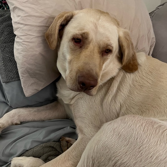 Meet your Posher, Kristine - Picture 2 of 2